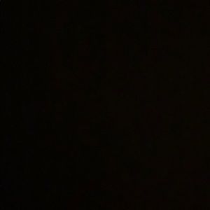 Meet your Posher, Gavin